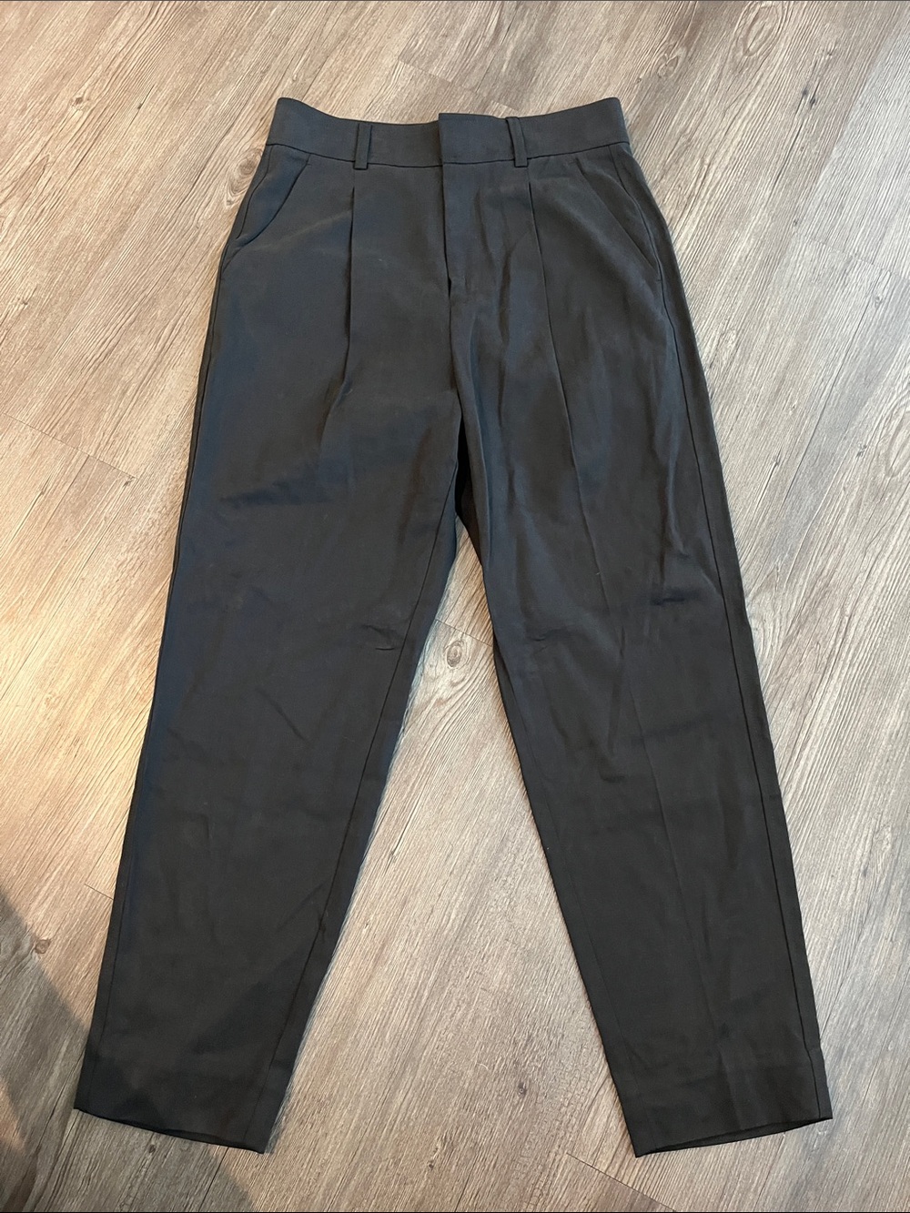 EVERLANE Pleated Tapered Dress Pants